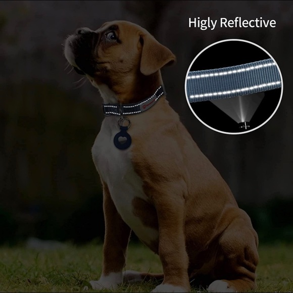 Dog Collar - Picture 3 of 5